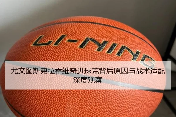 尤文图斯弗拉霍维奇进球荒背后原因与战术适配深度观察